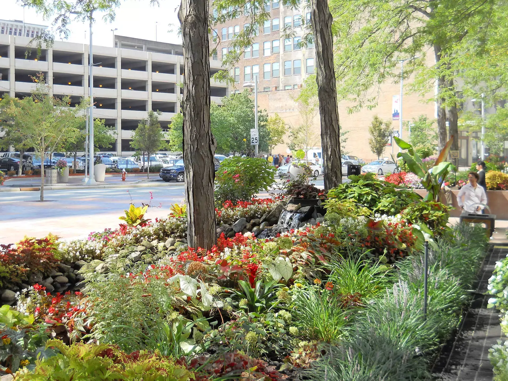 Waterfall with Rocks, Flowers, Shrubs, and Trees surrounding in a City